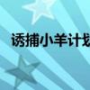 诱捕小羊计划（关于诱捕小羊计划的介绍）
