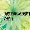 山东五彩龙投资有限公司(关于山东五彩龙投资有限公司的介绍) 山东五彩龙投资有限公司(关于山东五彩龙投资有限公司的介绍)