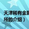天津稀有金属交易所（关于天津稀有金属交易所的介绍）