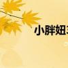 小胖妞3（关于小胖妞3的介绍）