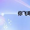 你飞吧(关于你飞吧的介绍) 你飞吧(关于你飞吧的介绍)