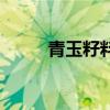 青玉籽料（关于青玉籽料的介绍）