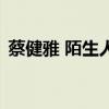 蔡健雅 陌生人（关于蔡健雅 陌生人的介绍）