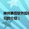 神州泰岳软件股份有限公司（关于神州泰岳软件股份有限公司的介绍）