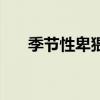季节性卑猥（关于季节性卑猥的介绍）