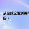从足球流氓到黑帮崛起3（关于从足球流氓到黑帮崛起3的介绍）