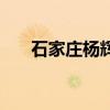 石家庄杨辉（关于石家庄杨辉的介绍）