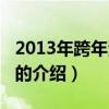 2013年跨年演唱会（关于2013年跨年演唱会的介绍）