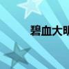碧血大明（关于碧血大明的介绍）