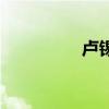 卢锡（关于卢锡的介绍）