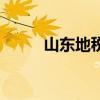 山东地税（关于山东地税的介绍）
