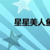星星美人鱼（关于星星美人鱼的介绍）
