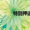 特别押送（关于特别押送的介绍）