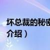 坏总裁的秘密情人（关于坏总裁的秘密情人的介绍）