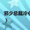 邪少总裁冷心秘（关于邪少总裁冷心秘的介绍）