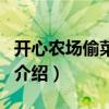 开心农场偷菜游戏（关于开心农场偷菜游戏的介绍）