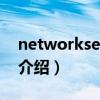 networkservice（关于networkservice的介绍）