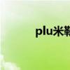 plu米勒（关于plu米勒的介绍）