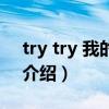 try try 我的未来（关于try try 我的未来的介绍）
