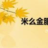 米么金服（关于米么金服的介绍）