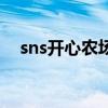 sns开心农场（关于sns开心农场的介绍）