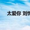 太爱你 刘忻（关于太爱你 刘忻的介绍）