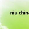 niu china（关于niu china的介绍）