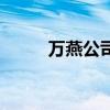 万燕公司（关于万燕公司的介绍）