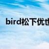 bird松下优也（关于bird松下优也的介绍）