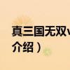 真三国无双v3 9d（关于真三国无双v3 9d的介绍）