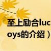 至上励合lucky boys（关于至上励合lucky boys的介绍）