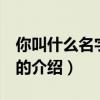 你叫什么名字 歌词（关于你叫什么名字 歌词的介绍）