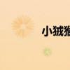 小狨猴（关于小狨猴的介绍）