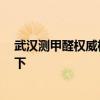 武汉测甲醛权威机构 武汉市测甲醛最专业的是哪家 谁说一下 