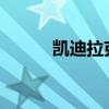 凯迪拉克林荫大道外观方面展示