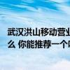 武汉洪山移动营业厅 武汉洪山区移动公司最优质的服务是什么 你能推荐一个吗 