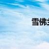 雪佛兰赛欧新车型基础信息