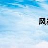 风神S30外观方面展示