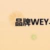 品牌WEY与全息虚拟助手建立了跨界