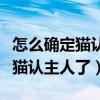 怎么确定猫认主人了新来家里三天（怎么确定猫认主人了）
