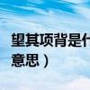 望其项背是什么意思怎么读（望其项背是什么意思）