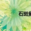 石斑鱼多少钱一斤（石斑鱼）