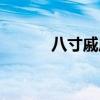 八寸戚风蛋糕最佳配方（八寸）
