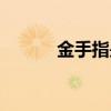 金手指是什么（金手指是什么）