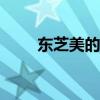 东芝美的是什么关系（东芝m352）