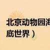 北京动物园海底世界和海洋馆（北京动物园海底世界）