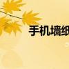 手机墙纸高清图片（手机qq网址）