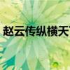赵云传纵横天下秘籍（赵云传纵横天下秘籍）