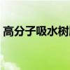 高分子吸水树脂生产厂家（高分子吸水树脂）