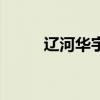 辽河华宇信息网首页（辽河华宇）